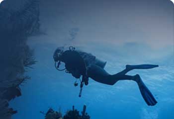 الغوص التجارى